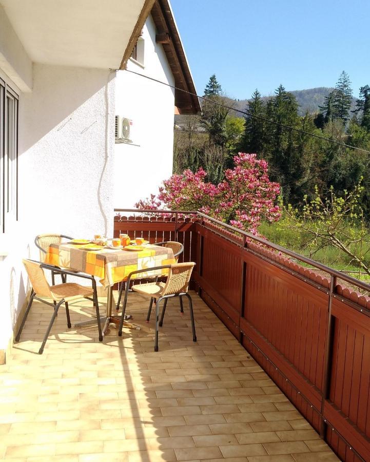 Apartma Gorjan Tolmin Exteriér fotografie