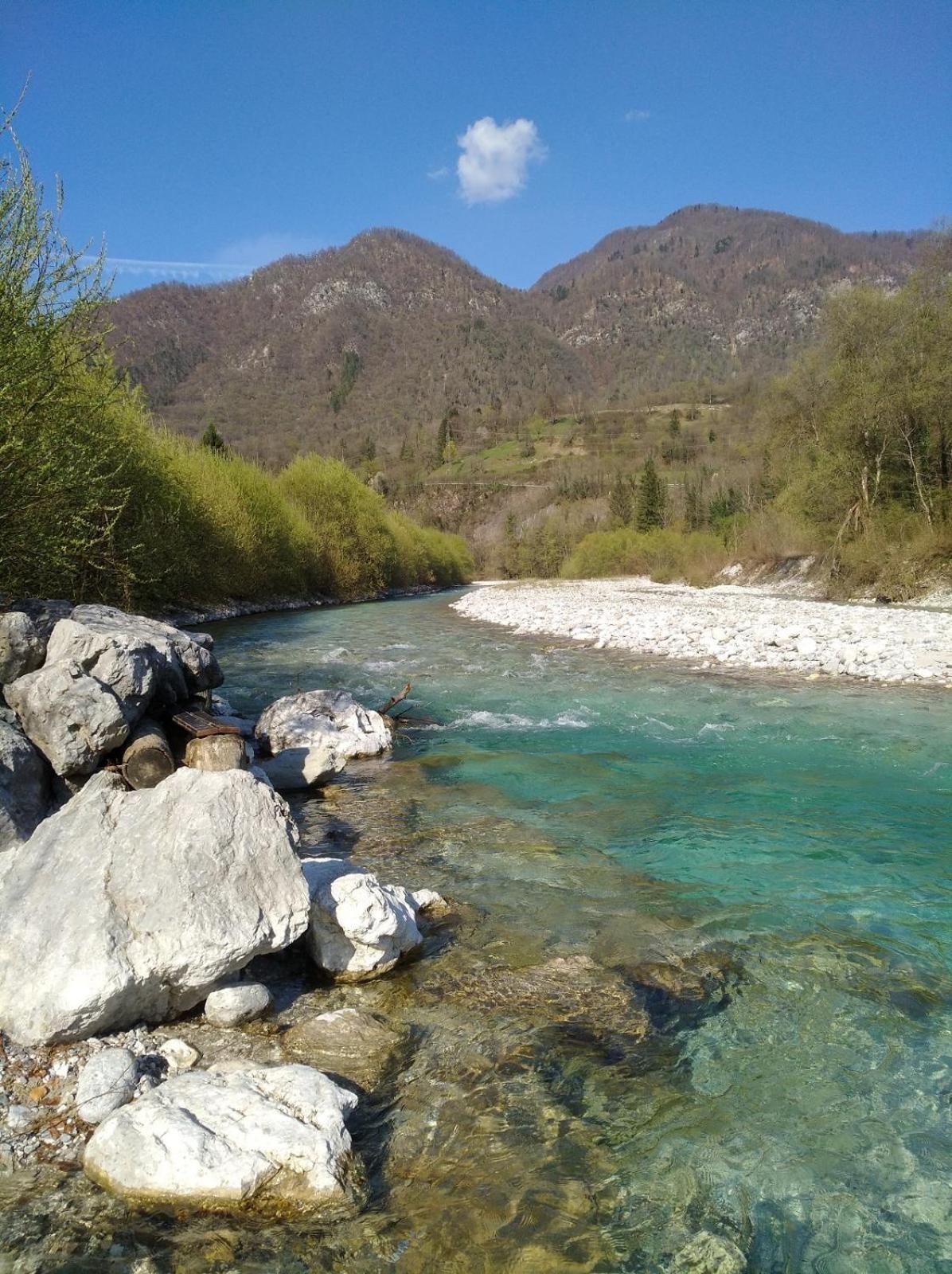 Apartma Gorjan Tolmin Exteriér fotografie